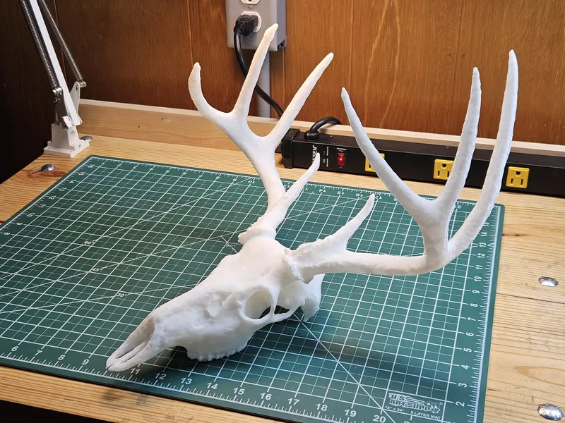 Full-size printed white-tailed deer skull with antlers on a cutting mat